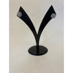 Pendientes de PLATA DE LEY...